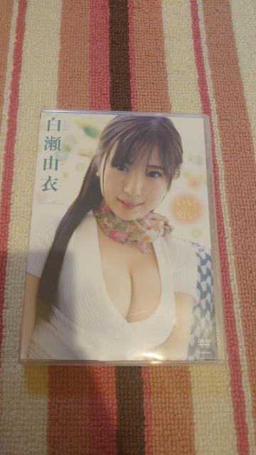 白瀬由衣DVD < タレントグッズ  白瀬由衣DVD  < タレントグッズの