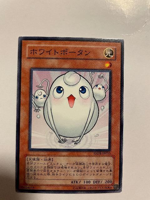 VYyEzCg|[^z   g[fBOJ[h 