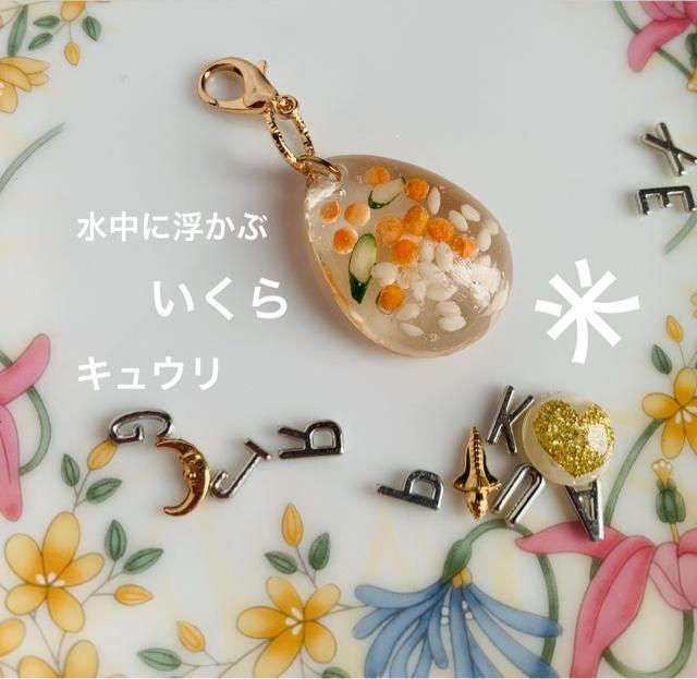 水中の いくら丼 チャーム 送料無料 < 女性ファッション  水中の いくら丼 チャーム 送料無料 < 女性ファッションの