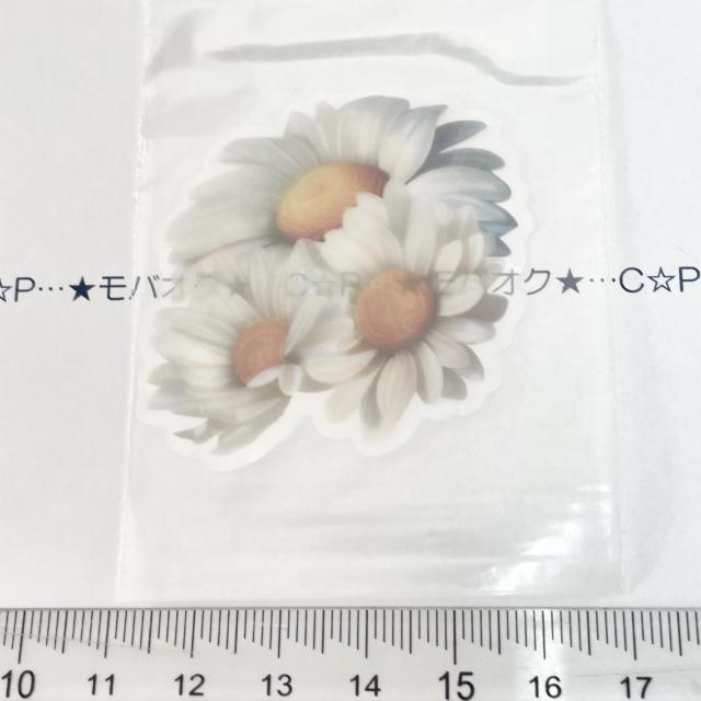 18*�݌ɂȂ��@�R���[�W���V�[���@29 