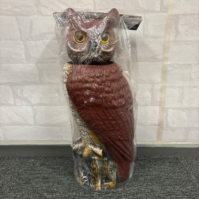  Vi gp ǂ UtNE   ybg/|/| 