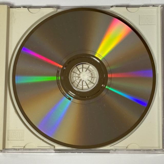 渡辺美里 / BIG WAVE < タレントグッズ 渡辺美里 / BIG WAVE < タレントグッズの