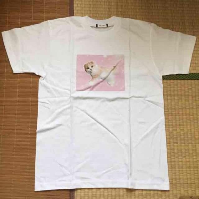 WEGO・ゆめかわネコフォトプリントTシャツ。ピンク < ブランド  WEGO・ゆめかわネコフォトプリントTシャツ。ピンク < ブランドの