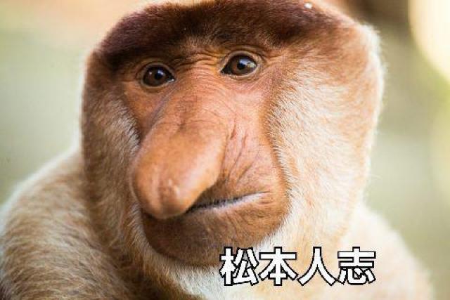 ☆ガキの使いやあらへんで 16 ☆ビリビリ対決 名作&傑作トーク集 < CD/DVD/ビデオ ☆ガキの使いやあらへんで 16 ☆ビリビリ対決 名作&傑作トーク集 < CD/DVD/ビデオの