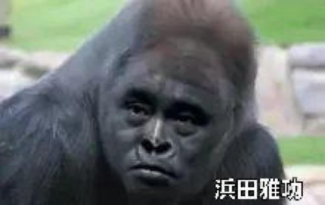 ☆ガキの使いやあらへんで 16 ☆ビリビリ対決 名作&傑作トーク集 < CD/DVD/ビデオ ☆ガキの使いやあらへんで 16 ☆ビリビリ対決 名作&傑作トーク集 < CD/DVD/ビデオの