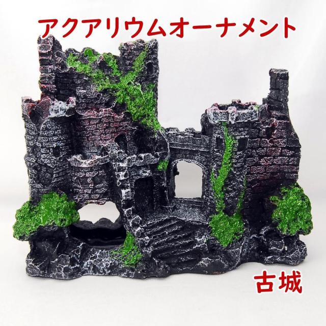 z p IuWF Ï ANAE I[ig  B  Mы  u ͌^ p eE    ybg/|/| 