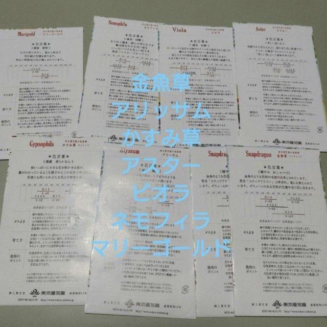 花の種8袋セット < ペット/手芸/園芸 花の種8袋セット < ペット/手芸/園芸の