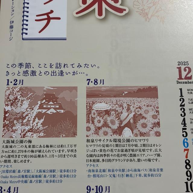 2026Niߘa8Nj̃J_[  zr[ 