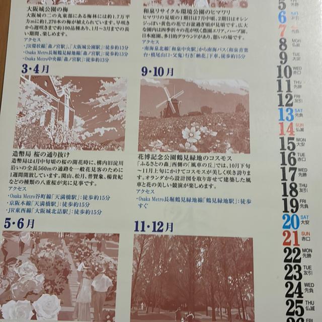 2026Niߘa8Nj̃J_[  zr[ 