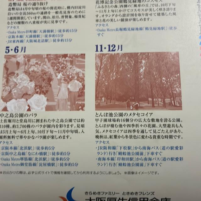 2026Niߘa8Nj̃J_[  zr[ 