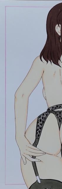 ����C���X�g/�@����m�K���_��SEED/�}�����[�E���~�A�X/����/�K�[�^�[�x���g/T�o�b�N �� �A�j��/�R�~�b�N/�L�����N�^�[�� 