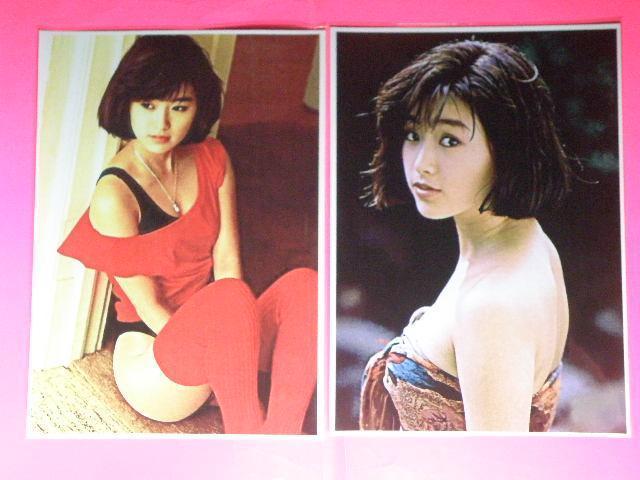  @qi ̂肱j`[~OZNV[Vbg@ASTCYU{@NA|Pbg  ^gObY 