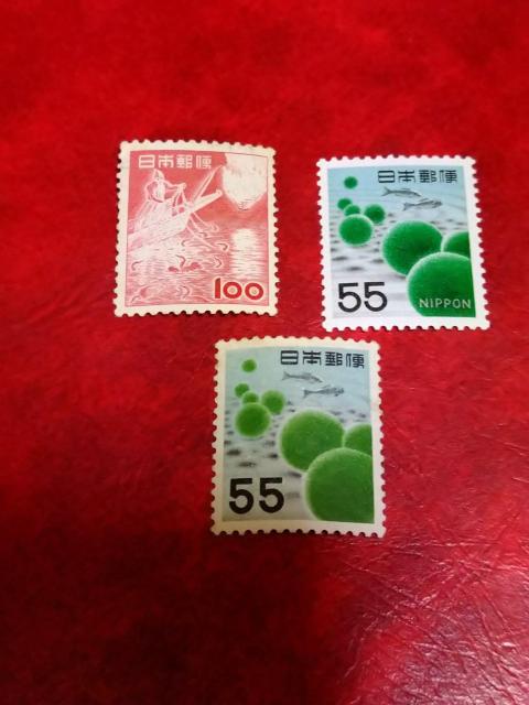 ���A������؎聖���g�p�i �� �z�r�[�� 