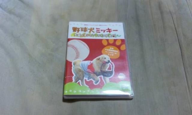 【DVD】(広島カープ)ボール犬 野球犬ミッキー < レジャー/スポーツ  【DVD】(広島カープ)ボール犬 野球犬ミッキー  < レジャー/スポーツの