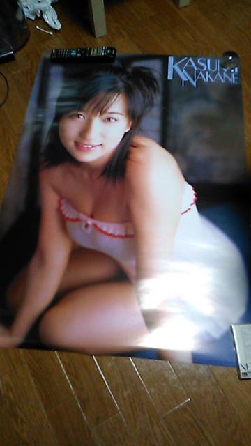 ݁`񔄕iE|X^[E   ^gObY 