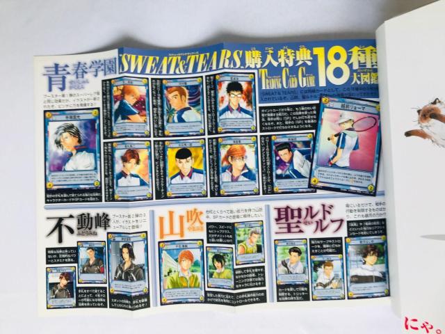 テニスの王子様 SWEAT & TEARS 攻略本 ガイド 初版 カード図鑑 Prince of Tennis Guide < ゲーム本体/ソフト テニスの王子様 SWEAT & TEARS 攻略本 ガイド 初版 カード図鑑 Prince of Tennis Guide < ゲーム本体/ソフトの