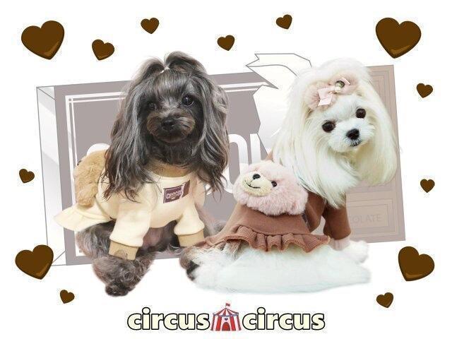 定価7,920円●裏起毛●ふわふわテディベアポシェットデザイン●茶ブラウン イチゴチョコ●サーカスサーカス●ペット服 犬 子犬 猫 < ペット/手芸/園芸 定価7,920円●裏起毛●ふわふわテディベアポシェットデザイン●茶ブラウン イチゴチョコ●サーカスサーカス●ペット服 犬 子犬 猫 < ペット/手芸/園芸の