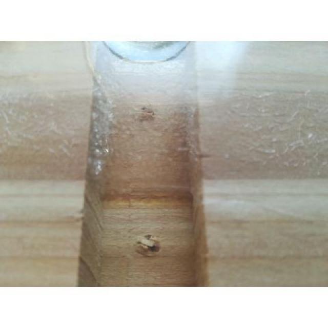 �I�̒��t���[���b�N�|�[�� �� �C���e���A/���C�t�� 