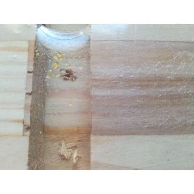 �I�̒��t���[���b�N�|�[�� �� �C���e���A/���C�t�� 