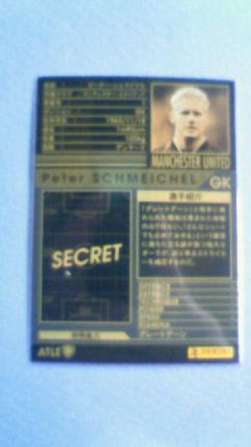 0809 ATLE V}CP  g[fBOJ[h 