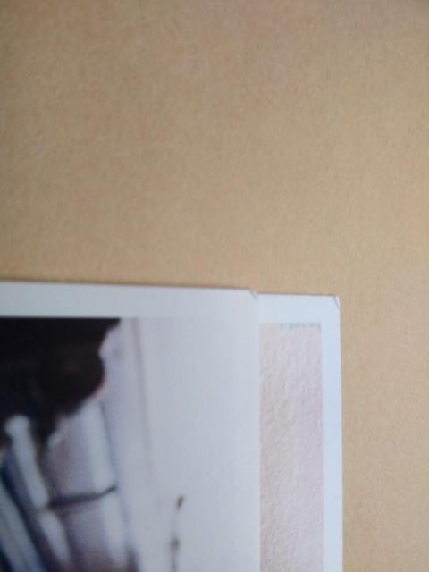 �������_�N�����m���W���P�b�g�T�C�Y�J�[�h���P�Q���� �� �^�����g�O�b�Y�� 