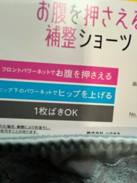 Lサイズ!パワーネットでお腹押さえて!ヒップアップ!一枚ばきOK!光沢感ある!エレガント!ガードルショーツ!No.3 < 女性ファッション  Lサイズ!パワーネットでお腹押さえて!ヒップアップ!一枚ばきOK!光沢感ある!エレガント!ガードルショーツ!No.3 < 女性ファッションの