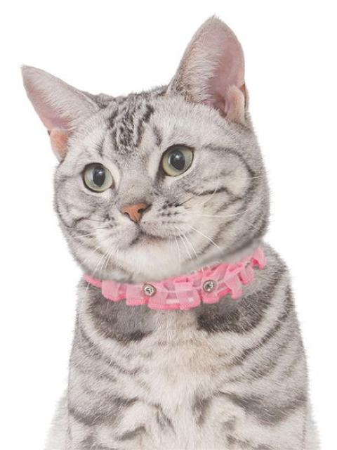 プレシャンテ キャットカラー レース S ピンク★新品 猫首輪 < ペット/手芸/園芸 プレシャンテ キャットカラー レース S ピンク★新品 猫首輪 < ペット/手芸/園芸の