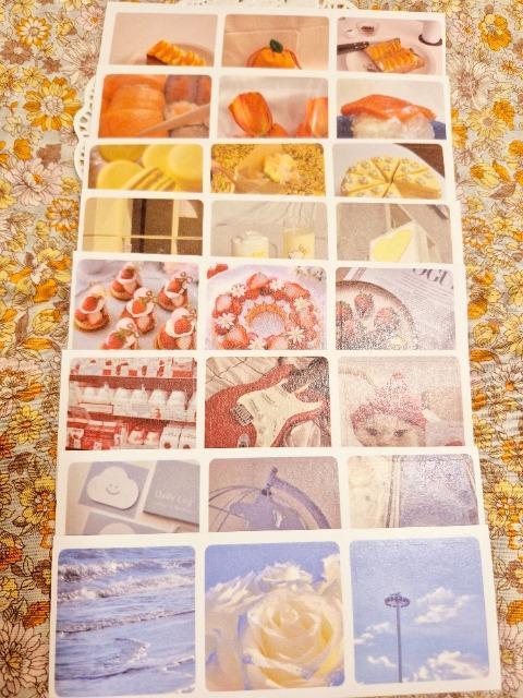 PhotoV[V[g82  CeA/Ct 