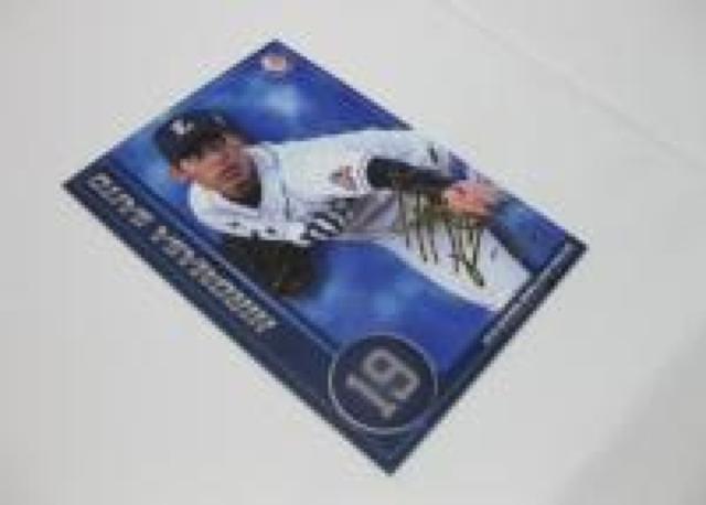 �₫�イ�J�[�h1  �� ���W���[/�X�|�[�c�� 