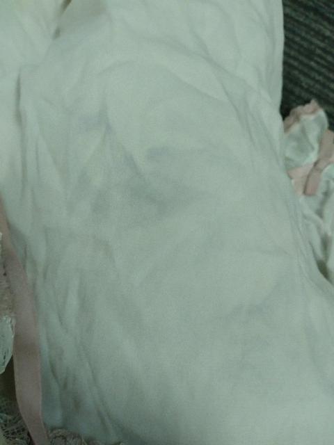 LIZ LISA☆ドビードットシフォン長袖トップス < ブランド LIZ LISA☆ドビードットシフォン長袖トップス < ブランドの