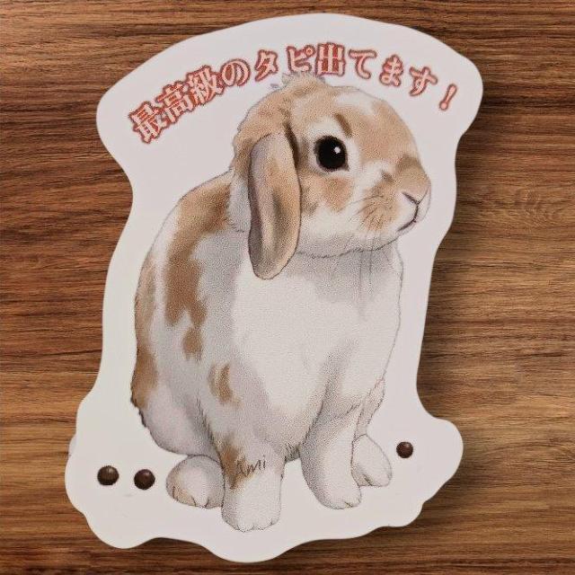 �y�ϐ��z�����������邠��I�u�ō����̃^�s�I�J�v�����@�Ȃ������X�e�b�J�[�i���b�v�C���[/�ʔ���/�l�^/�X�}�z/PC�j  �� �C���e���A/���C�t�� 