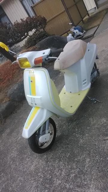 AF09�󏭓������F�N���^�N������錧����������� �� ������/�o�C�N