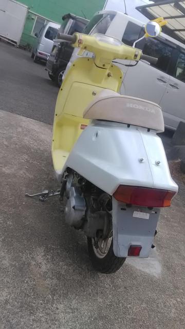 AF09�󏭓������F�N���^�N������錧����������� �� ������/�o�C�N