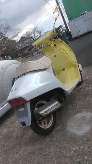 AF09�󏭓������F�N���^�N������錧����������� �� ������/�o�C�N