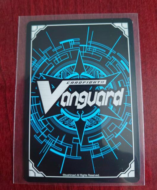 J[ht@CgII@K[hb_ uCgRu gK[ BD13/068 C 866