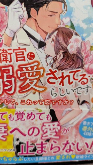 G[gqɓMĂ炵łɂ̃TLG^jeB   {/G 