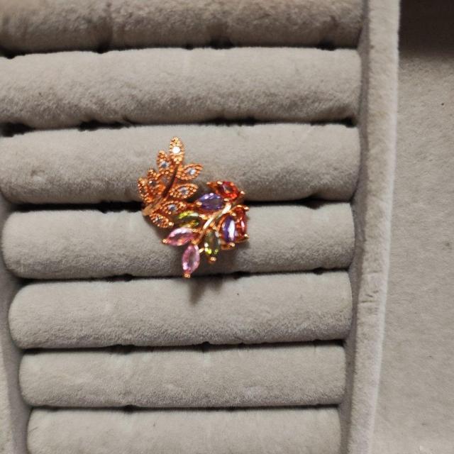 �J���t�����[�t�w��  �� �����A�N�Z�T���[/���v�� 