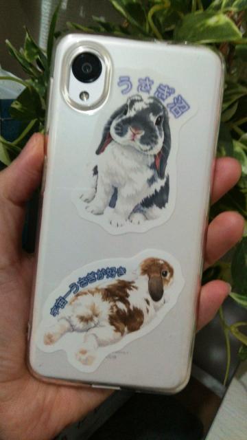 �y3���Z�b�g/������Ƃ����z���������ǂ��Ղ�Z�b�g ���b�v�C���[�̑ϐ��X�e�b�J�[�i�X�}�z/PC/�^�s�I�J/�F����j �� �C���e���A/���C�t�� 