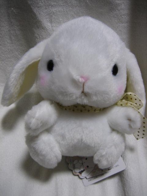 ۂĂҁ[  Ղ݂ zCgx[W    