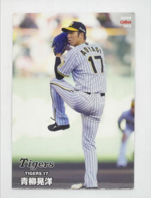 ʗX֑@v싅`bvX2024 003 Wm   g[fBOJ[h 