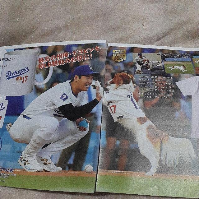 大谷翔平 切り抜き 113 < レジャー/スポーツ 大谷翔平 切り抜き 113 < レジャー/スポーツの