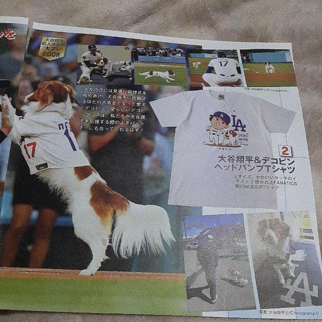 大谷翔平 切り抜き 113 < レジャー/スポーツ 大谷翔平 切り抜き 113 < レジャー/スポーツの