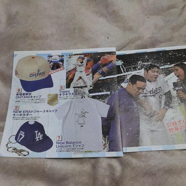 大谷翔平 切り抜き 113 < レジャー/スポーツ 大谷翔平 切り抜き 113 < レジャー/スポーツの