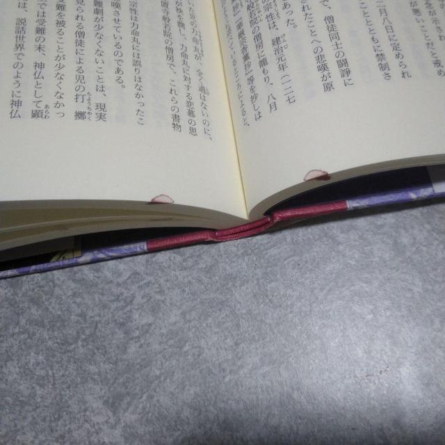 逸脱の日本中世 - 狂気 同性愛 服装倒錯 魔道 < 本/雑誌  逸脱の日本中世 - 狂気 同性愛 服装倒錯 魔道 < 本/雑誌の