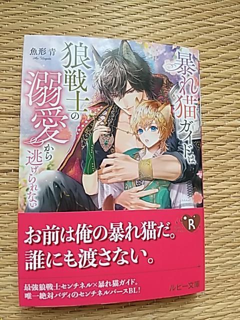 VV@@\LKCh͘Tm̓M瓦Ȃ@`/k򂫂傤 