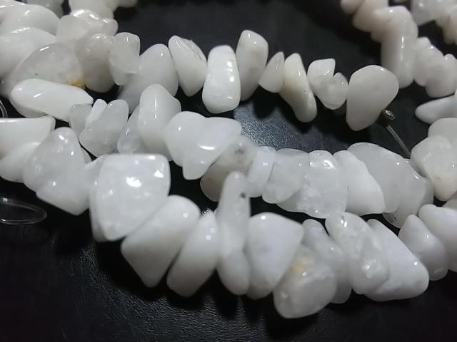 ӂ܊ӂcVR΁zCgWFCh@@PA