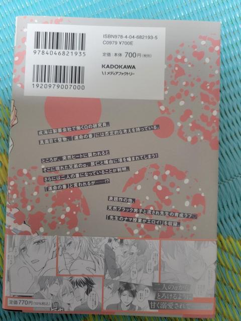 1.2cm◇フルールコミックス◇番が二人ってアリですか!?◇羽柴紀子◇初版◇BL < アニメ/コミック/キャラクター 1.2cm◇フルールコミックス◇番が二人ってアリですか!?◇羽柴紀子◇初版◇BL < アニメ/コミック/キャラクターの