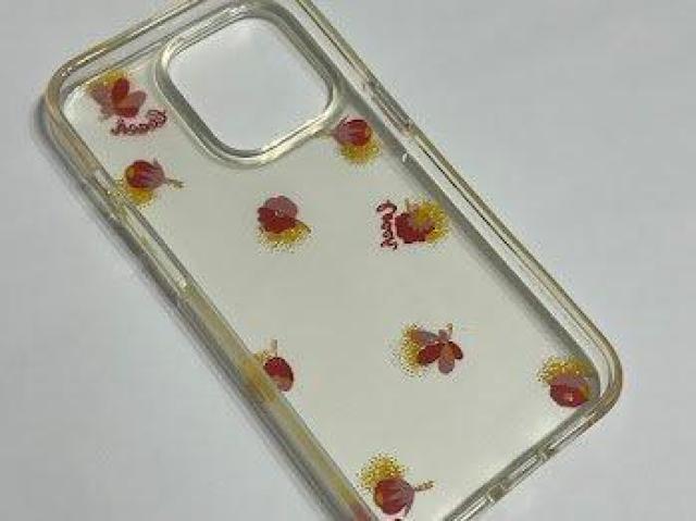 R[` COACH iPhone13 pro Ή P[X C8105  Ɠd/AV 