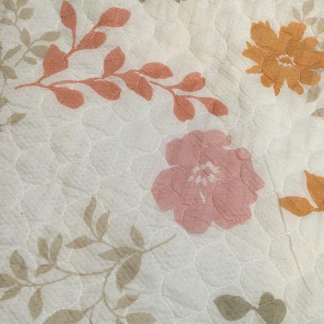 LeBO ~pbh  A165  CeA/Ct 