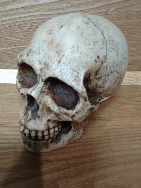 Á@hN@[@XJ@@퐻   CeA/Ct 